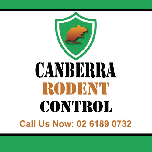 Canberra Rodent Control