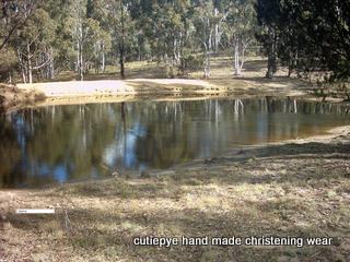 40 acre farm goulburn area $440,000 0427820744