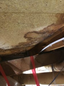 Pre Purchase Building Inspections