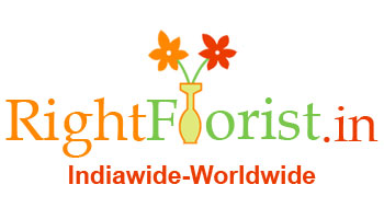  Floral sparkles will glitter up celebrations at www.rightflorist.in