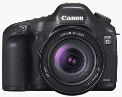 Canon EOS 5D Mark II Digital SLR Camera (Body Only)