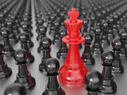 SEO Services Mildura                  