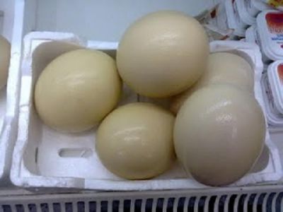 emu and ostrich chick  and eggs for sale