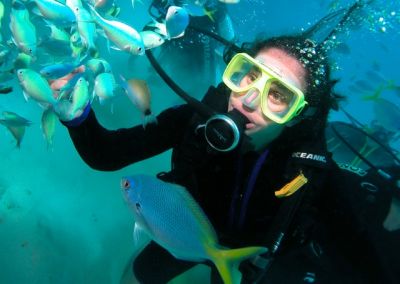 Best Snorkelling on the Great Barrier Reef 