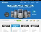 Windows Web Hosting Supports SQL Server (MSSQL) and Access
