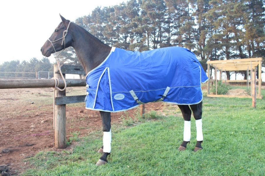 Quality Horse Rugs