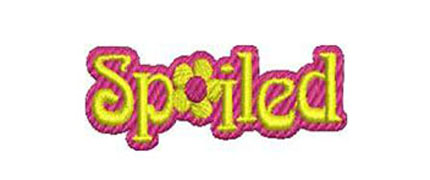 4 Reasons Why Embroidered Workwear Are Important?