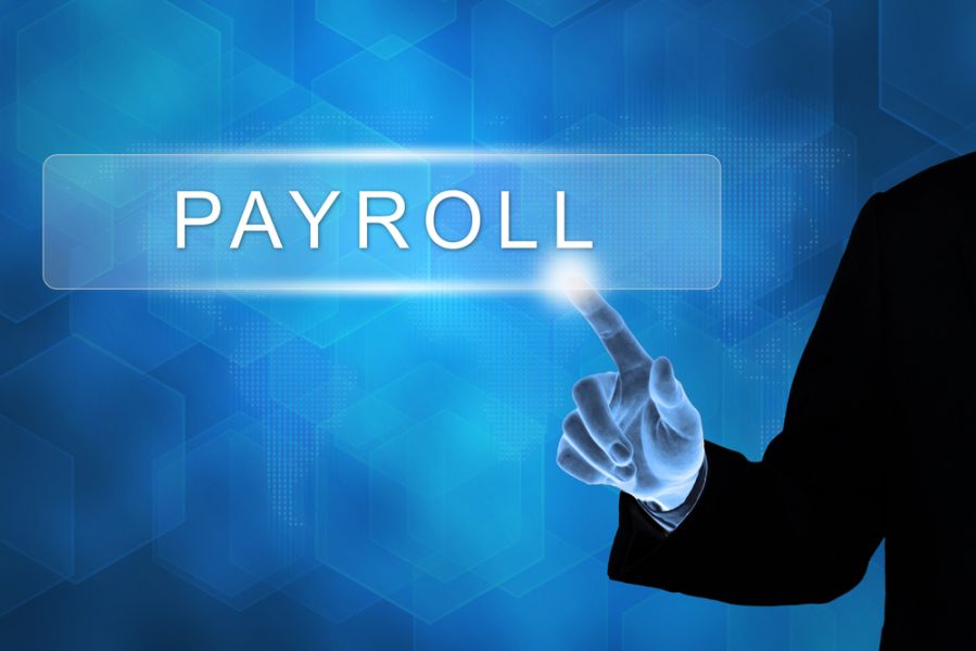 Payroll Services Provider
