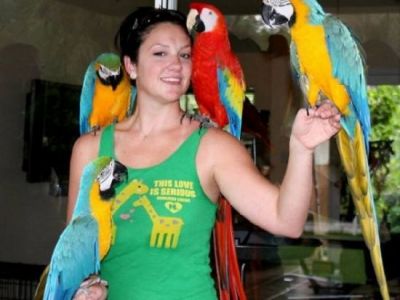 African grey parrots,macaws and fertile eggs for sale