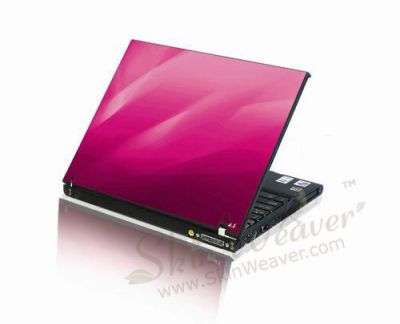 Laptop Skins, Lagtop bags/Sleeves for sales
