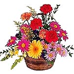 Flowers to script your compassions for your acquaintances