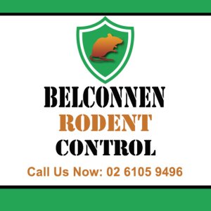 Belconnen Rodent Control
