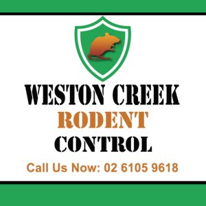 Weston Creek Rodent Control