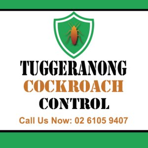 Tuggeranong Cockroach Control