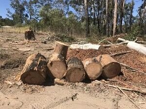 Chip Off The Old Block