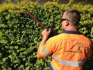 Chip Off The Old Block