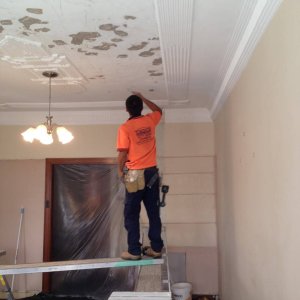 Reliable Plastering in Newcastle | Steven Trevisan Plastering