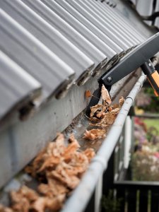 Gutter cleaning in Brisbane