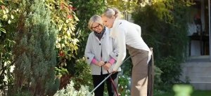 Maintaining Safe and Accessible Outdoor Spaces